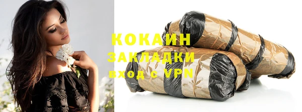 шишки Арсеньев