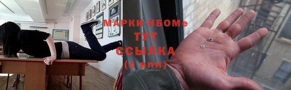 шишки Арсеньев