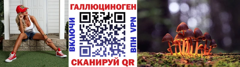 shop состав  Тайшет  Галлюциногенные грибы Psilocybe 